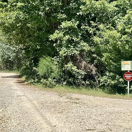 Chalé La Grisonne 2 Revest-du-Bion