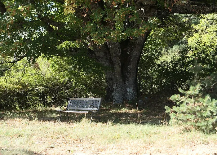 La Grisonne 2 Revest-du-Bion